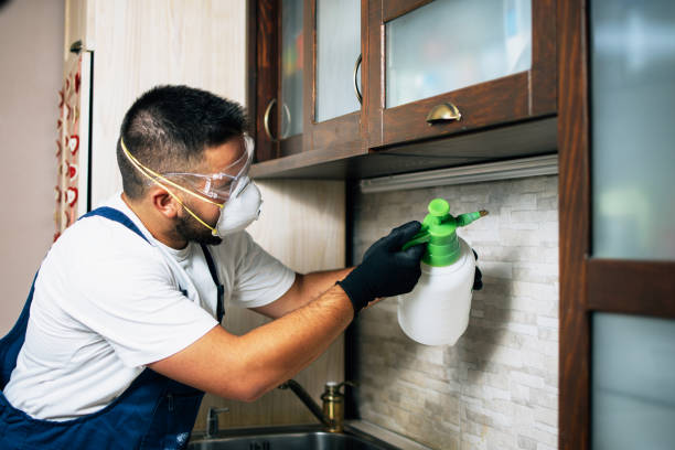 Best Wasp Removal Services  in Prospect, KY