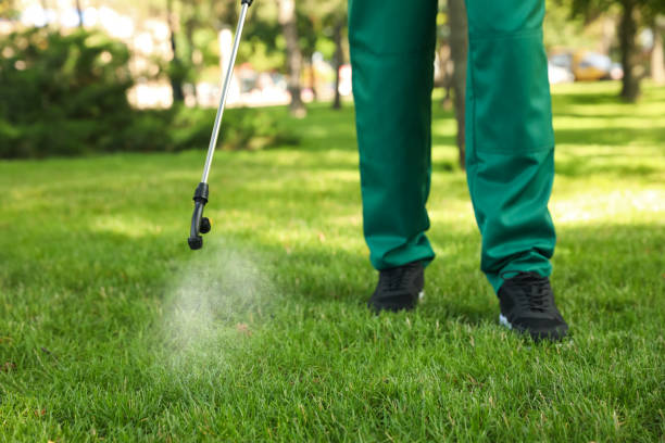 Best Best Pest Control Companies  in Prospect, KY