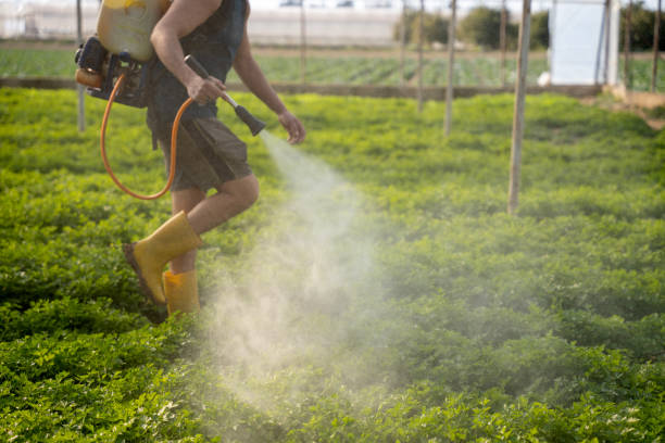 Best Exterminator Services  in Prospect, KY
