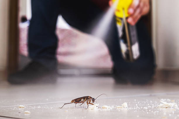 Flea Control Services in Prospect, KY