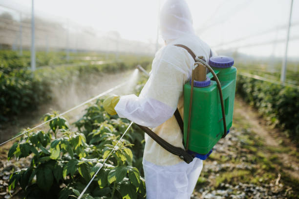 Pest Control Cost in Prospect, KY